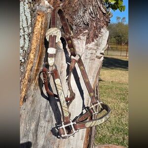 Moran sterling overlay horse show halter with lead